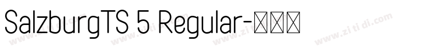 SalzburgTS 5 Regular字体转换